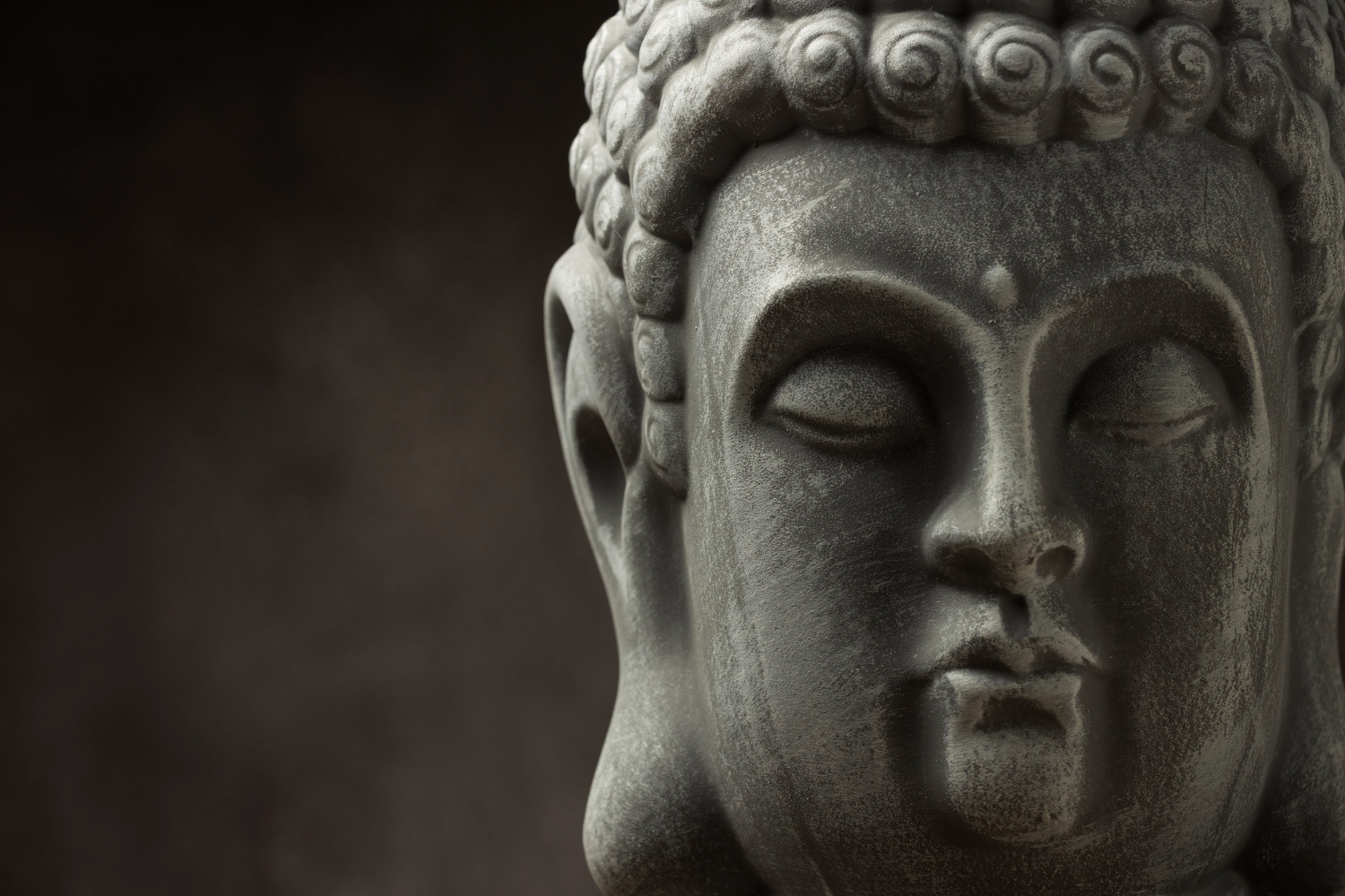 Empresa ZEN